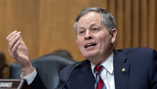 Steve Daines announces shock retirement decision