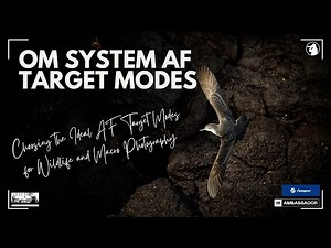 Understanding the OM System AF Target Modes for Wildlife & Macro Photography