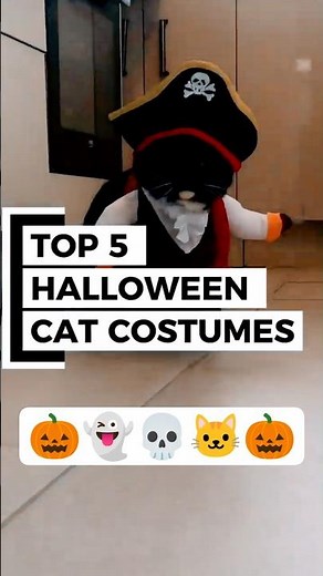 Top 5 Halloween Cat Costumes That'll Make You Scream (and Laugh) #HalloweenCats #shorts #animals