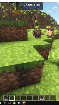 CÓMO ENCONTRAR OTTERS en MINECRAFT con Critters and Companions