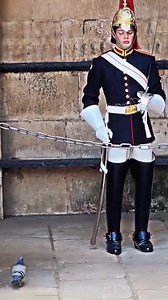 1M views · 5.1K reactions | #RoyalGuard, #KingGuard, #PalaceGuard, #MonarchGuard, #CeremonialGuard, #EliteGuard, #SovereignGuard, #CrownGuard, #MilitaryCeremony, #RoyalProtocol, #GuardofHonor, #RoyalFamily, #KingsBodyguard, #HistoricalGuard, #RegalAttire, #RoyalDuty | king royals Guards s | Facebook