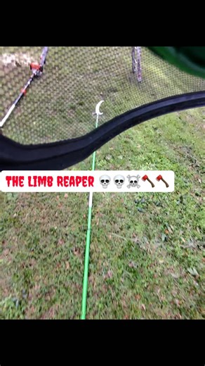 “Real trimmers never get shook. Ain’t no such thing as halfway cuts.” #icuttreesllc #treeservice #homeadvisor • ✂️ Precision Trimming • 🌲 Full Tree Removal • 🔩 Stump Grinding • 🍂 Leaf & Debris Removal • 🏗️ Grapple Service • Call or Text: 407.556.5182 | I Cut Trees LLC