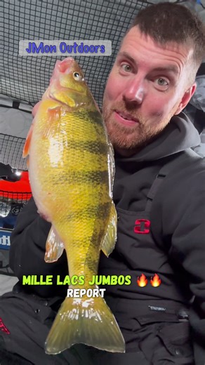 Mille Lacs Jumbo Perch Ice Fishing Tips and Techniques