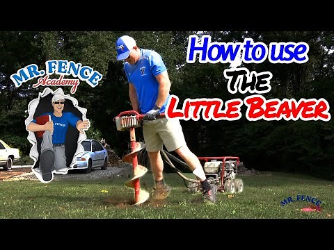 How to Dig with an Auger | Little Beaver