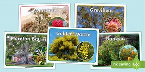 National Tree Day Display Posters