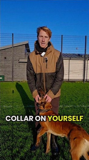 Testing shock collar on myself!