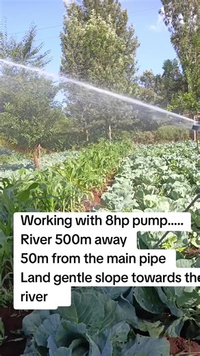 Sprinkler irrigation installation