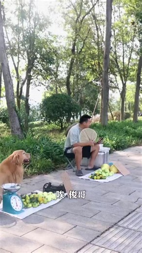 1.5M views · 64K reactions | Daily work #yinpinpin88 #facebookreels #viralreels #shortsvideos #reels #viral #shorts #facebook #fbreels #goals #me #usa #update #uk #korea #pakistan #vietnam #india #afghanistan #nepal #thanksyou #watch #video #love #you #friends #dog #doglove #puppy #puppylove | Smart dog | Facebook