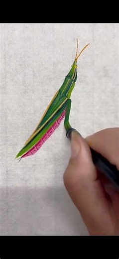 Grasshopper, zero basic Chinese painting, Chinese painting teaching, insects, Douyin Assistant