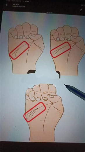 Understanding Life and Education in Hausa Culture