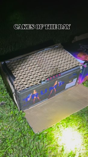 @houseoffireworksdyer on Instagram: "CAKES OF THE DAY: MAGA & BEETLEJUICE, an epic combo. #pyro #pyrotechnics #firework #fireworks💥 #fireworkshow #fireworksdisplay #boomboompow #fourthofjulyweekend #fourthofjuly #fireworks #beetlejuicebeetlejuice #halloweenideas"