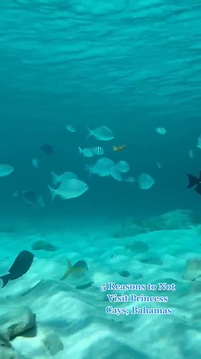 Why You Should Avoid Visiting Princess Cays, Bahamas