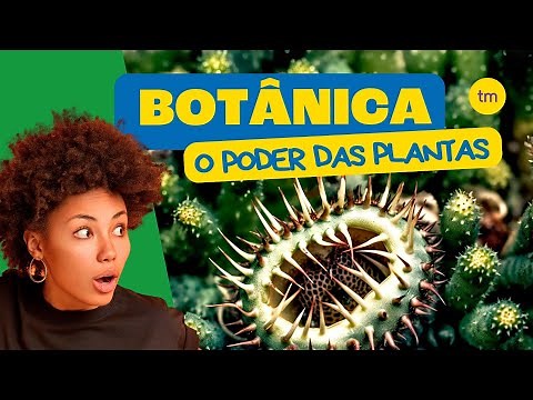 BOTÂNICA em 4 Minutos!