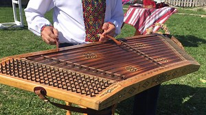 Cobblestone Freeway Tours on Reels