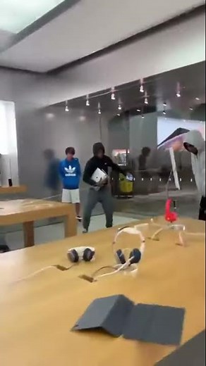 Thieves swipe thousands in electronics from Apple Store Hillsdale