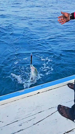 334 reactions · 20 shares | “Visiting Lakshadweep soon? Don’t skip this guide! ️” “Comment ‘Guide’ if you want a full Lakshadweep itinerary! ” . . . #Lakshadweep #LakshadweepTourism #LakshadweepTrip #LakshadweepGuide #LakshadweepReels #Lakshadweep2025#TravelReels #TravelViral #InstaTravel #ReelsIndia #ReelsKerala #ExplorePage #ViralReelsIndia #TrendingReels#IndiaTravel #IslandLife #TropicalVibes #HiddenParadise #TravelTips #TravelGuide | Mehja Arshad | Facebook