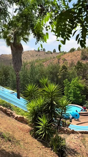 Experience a Day of Fun in the Sun at Pines Resort