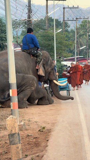 #ติดเทรนด์วันนี้ กราบพระยามเช้าเลย ขอให้เจอแต่ผูคนใจดี มีเมตตา สาธุ🙏🙏
