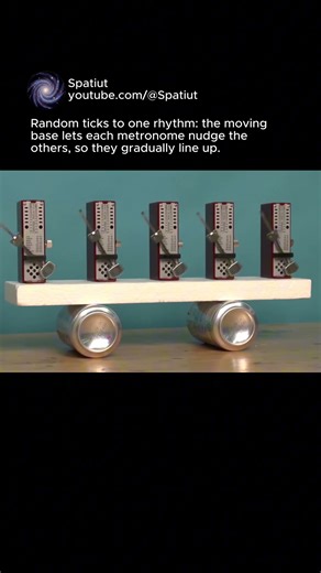 Metronomes in Sync: How Four Random Ticks Become One Beat #science #shorts