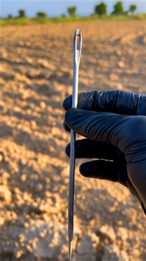 For what purpose is this needle use? | If you know than tell me.|