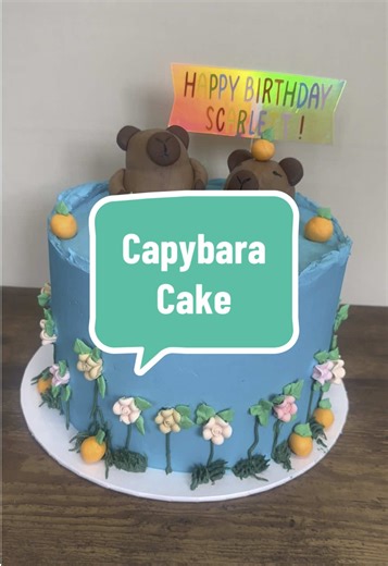 SC_ShellsCakes ╎ Shellsashtonx on TikTok