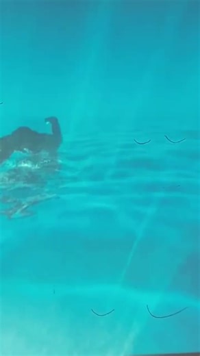 How To Rotation Epson Projector