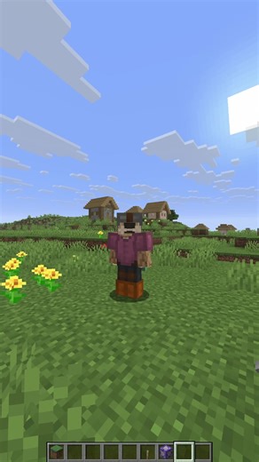 rainbow armor in minecraft #minecraft #minecraftjava #minecraftjava #minecraftmeme #minecraftbuilds #minecraftbedrock