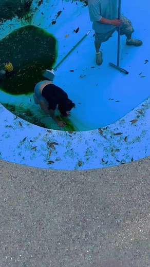 José Torres on TikTok