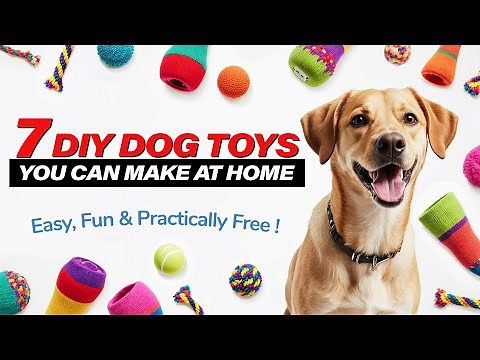 7 DIY DOG TOYS YOU CAN MAKE AT HOME ❤️🐶 Easy, Fun & Practically Free !