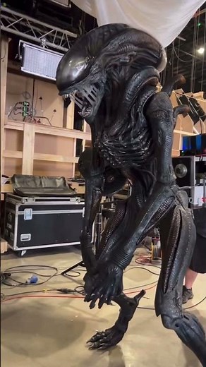 Animatronic Xenomorph for Alien: Romulus #alienromulus #aliens #movies