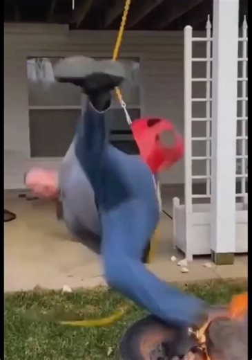 Epic Fall Compilation 😂💀 #shorts