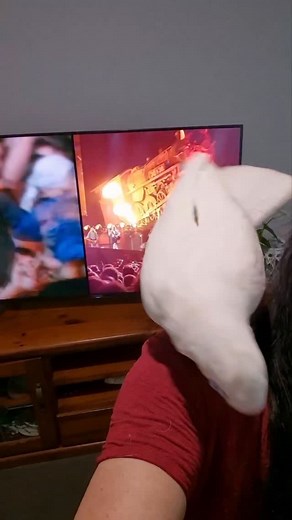 TNT going full turbo mode 💥🦜Birds have insanely flexible necks — many can rotate their head 180° or more because they have twice the number of neck vertebrae we do. | Eddie's Flight Club