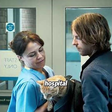 True story! A stray cat lit up his hopeless life! #movie #film #zj51203llmbb