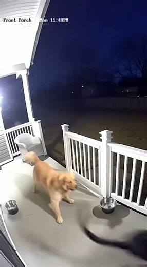 Sammy Adams on Reels