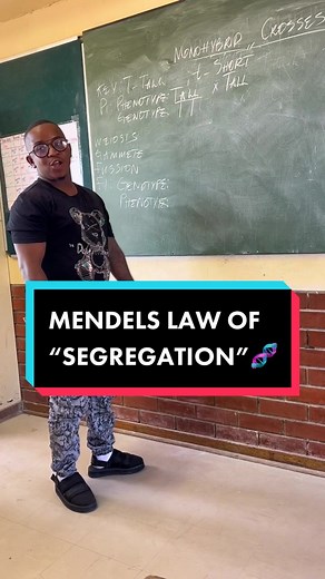 Exploring Mendel's Law of Segregation in Genetics: Part 2