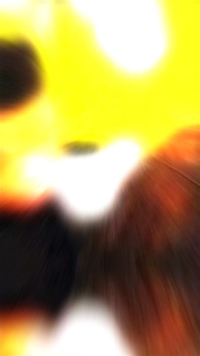 When praise HITS the ballroom the saints responded accordingly. Everyone knows that our leader LEADS OUT IN PRAISE!!! So why not seal the gala on the dance floor!!! 🔥🔥🔥🔥🔥🔥🔥 #LetThePeoplePraise | Hebrew Tabernacle Pentecostal Church, Inc.