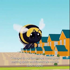 1.4K reactions · 1.2K shares | Homeless bumblebee queens are on a mission to find somewhere to nest - and they urgently need your help  | Bumblebee Conservation Trust | Facebook