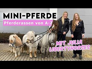 Horse Breeds from A-Z | Julia Libertyhorses & her Mini-Horses 😍