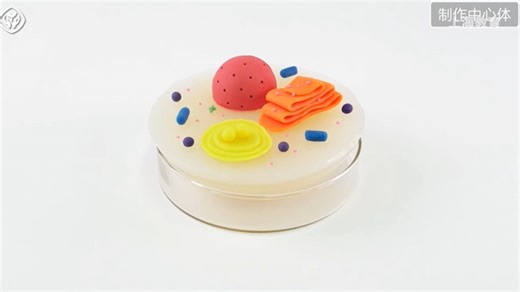 4.探究·建模：制作真核细胞的结构模型