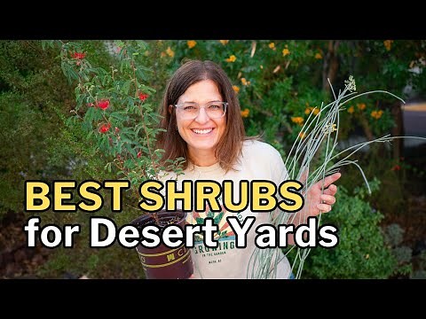 10 BEST SHRUBS for a Beautiful DESERT Landscape (and 3 to Skip)