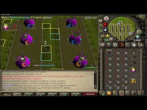 Tithe Farm Guide | 25x4 Max Points