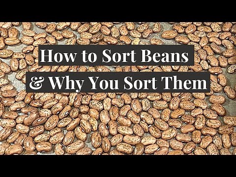 How to Sort Beans and Why You Sort Them