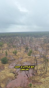 5.1K reactions · 311 shares | STUCK in the middle of the OUTBACK with all the roads out ❌CLOSED❌ Catch it this Thursday on YouTube! - #4x4 #offroading #caravan #touring #adventure #exploring #overlanding #outback | 4WD 24/7 | Facebook