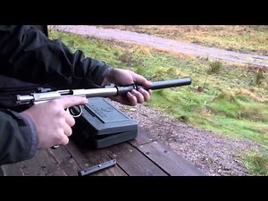 Suppressed Ruger Mark II Target