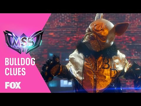 The Clues: Bulldog | Season 5 Ep. 5 | THE MASKED SINGER