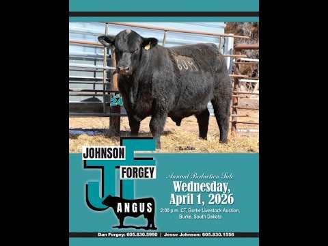 Forgey Angus - Annual Angus Bull Sale