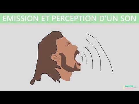 Emission et perception d’un son | 2sde-1ère | Lycée | Physique-chimie