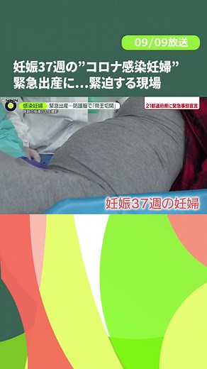 9月9日放送『#newszero 』より。#日テレnews #tiktokでニュース