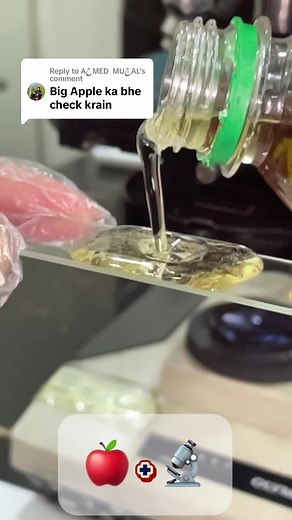 Exploring an Apple Under the Microscope