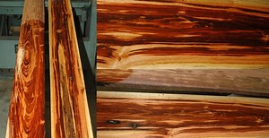 Goncalo alves - Alchetron, The Free Social Encyclopedia